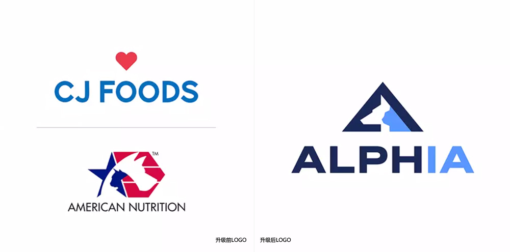 寵物品牌升級設(shè)計